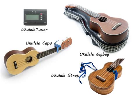 Ukuleles & Accessories .